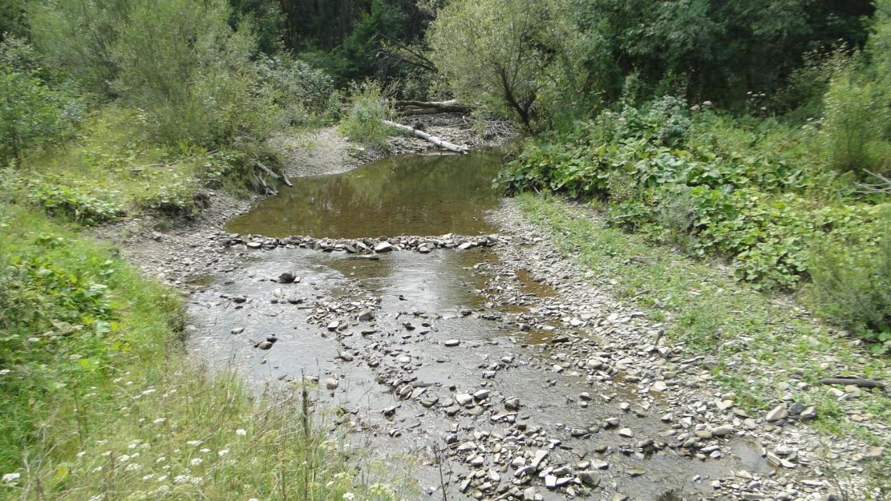 Gutkowa Koliba Villa Jasliska Kültér fotó